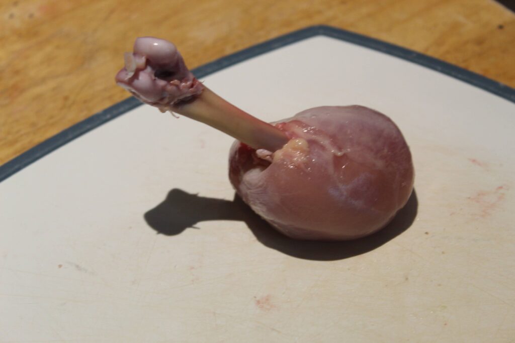 drumstick with no skin