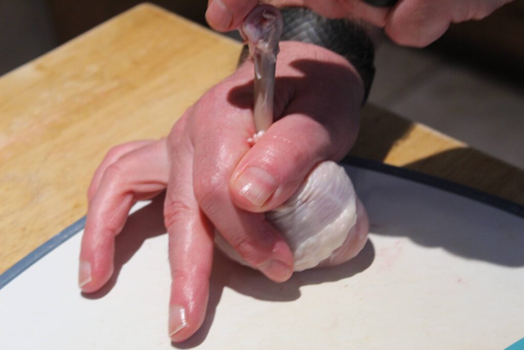 form drumstick lollipop